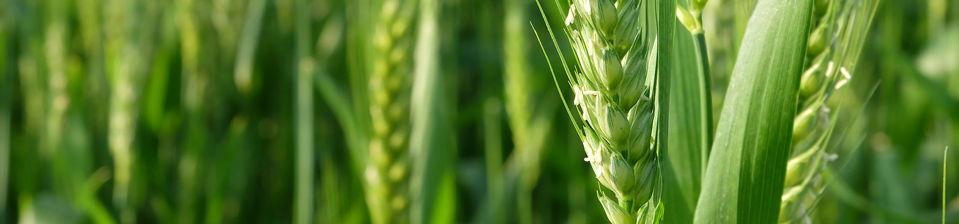 这是描述信息 这是描述信息