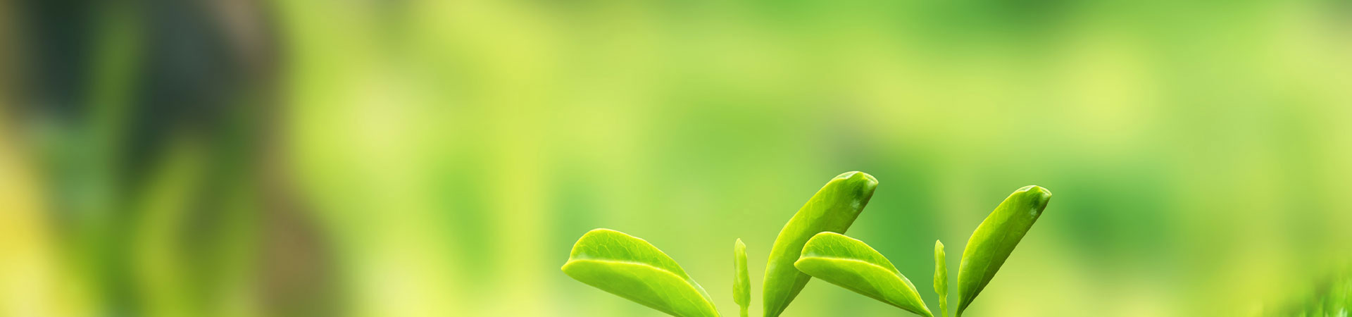 这是描述信息 这是描述信息